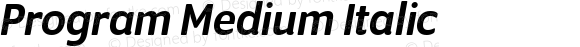 Program Medium Italic