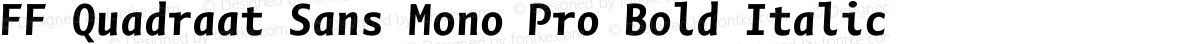 FF Quadraat Sans Mono Pro Bold Italic