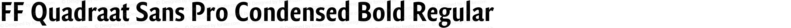 FF Quadraat Sans Pro Condensed Bold