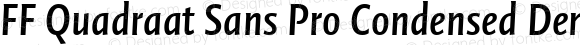 FF Quadraat Sans Pro Condensed DemiBold Italic