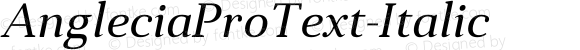 AngleciaProText-Italic ☞ Version 001.000;com.myfonts.easy.konstantynov.anglecia-pro.text-italic.wfkit2.version.47MF