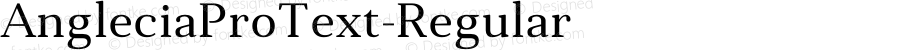 AngleciaProText-Regular ☞ Version 001.000;com.myfonts.easy.konstantynov.anglecia-pro.text-regular.wfkit2.version.47Ms