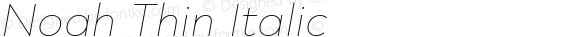 Noah Thin Italic