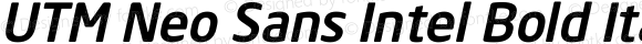 UTM Neo Sans Intel Bold Italic