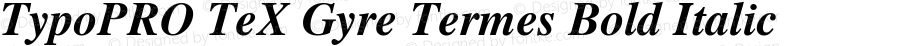 TypoPRO TeX Gyre Termes Bold Italic