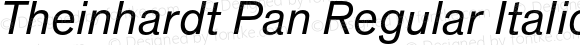 Theinhardt Pan Regular Italic