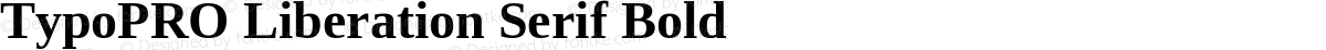 TypoPRO Liberation Serif Bold