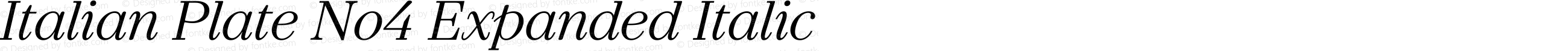 Italian Plate No4 Expanded Italic