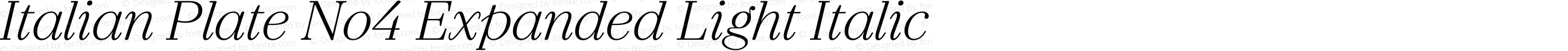 Italian Plate No4 Expanded Light Italic