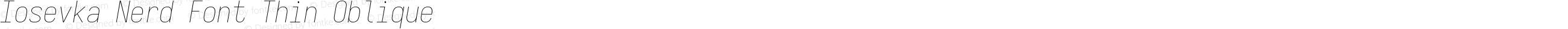 Iosevka Nerd Font Thin Oblique
