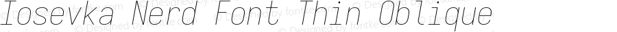 Iosevka Nerd Font Thin Oblique
