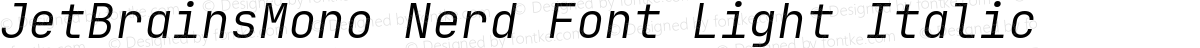 JetBrainsMono Nerd Font Light Italic