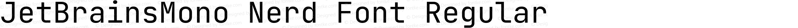 JetBrainsMono Nerd Font Regular