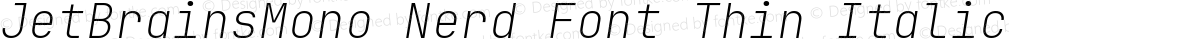JetBrainsMono Nerd Font Thin Italic