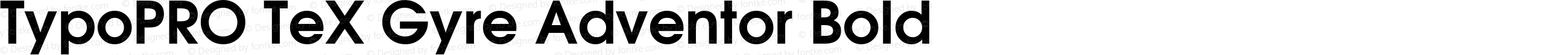 TypoPRO TeXGyreAdventor-Bold