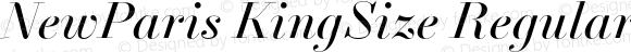 NewParis KingSize Regular Italic