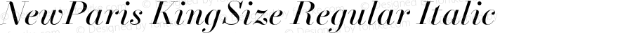 NewParis KingSize Regular Italic