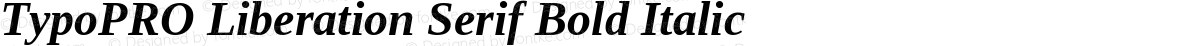 TypoPRO Liberation Serif Bold Italic