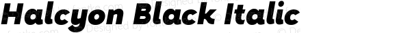 Halcyon Black Italic