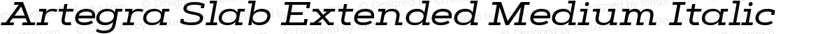 Artegra Slab Extended Medium Italic