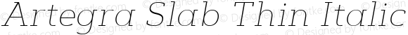 Artegra Slab Thin Italic
