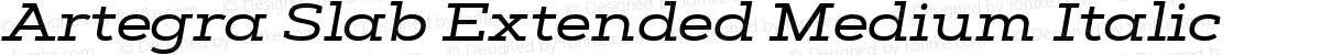 Artegra Slab Extended Medium Italic