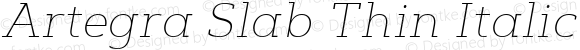 Artegra Slab Thin Italic