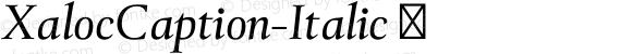 XalocCaption-Italic ☞