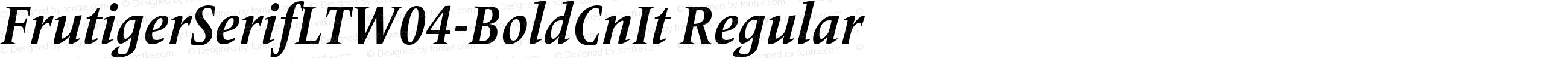 Frutiger Serif LT W04 Bd Cn It