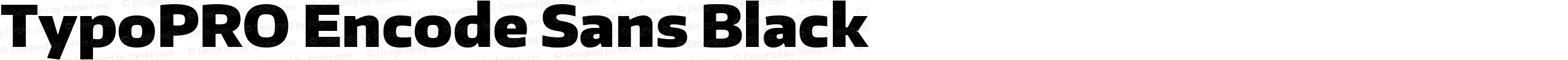 TypoPRO Encode Sans Normal Black