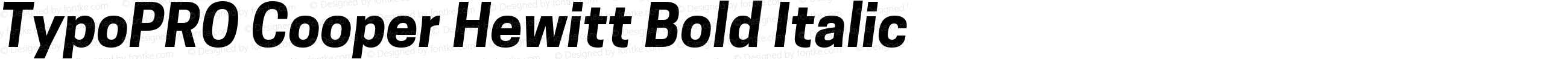 TypoPRO Cooper Hewitt Bold Italic