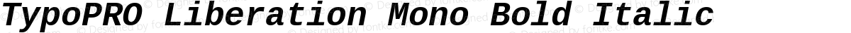 TypoPRO Liberation Mono Bold Italic