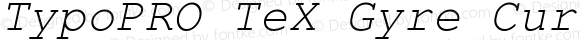 TypoPRO TeXGyreCursor-Italic