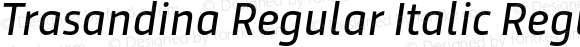 Trasandina Regular Italic Regular Italic