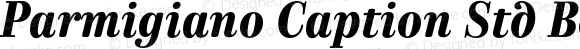 Parmigiano Caption Std Bold Italic