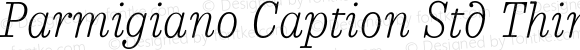 Parmigiano Caption Std Thin Italic
