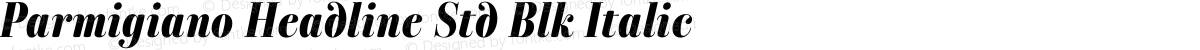 Parmigiano Headline Std Blk Italic