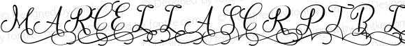 Marcella Script Bold