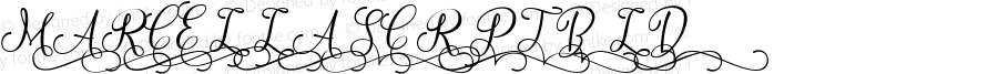 Marcella Script Bold