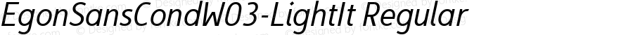 Egon Sans Cond W03 Light Italic