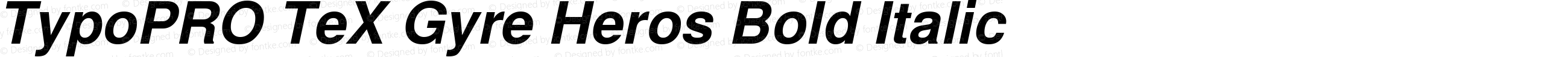 TypoPRO TeXGyreHeros-BoldItalic