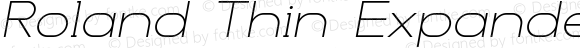 Roland Thin Expanded Italic