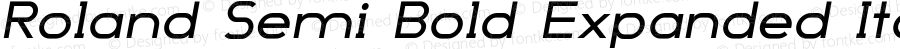 Roland Semi Bold Expanded Italic