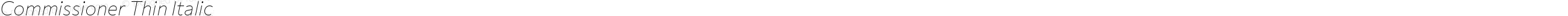 Commissioner Thin Italic