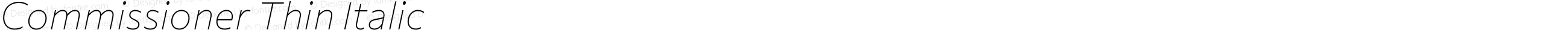 Commissioner Thin Italic
