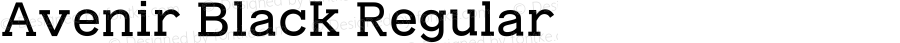 Avenir Black Regular