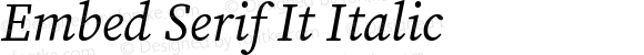 Embed Serif It Italic