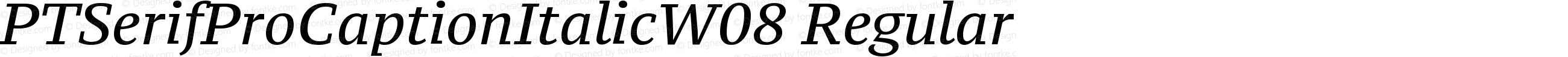 PT Serif Pro Caption ItalicW08