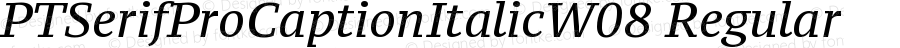 PT Serif Pro Caption ItalicW08