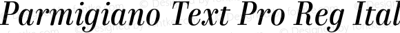 Parmigiano Text Pro Reg Italic